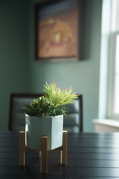 Plant on tabletop