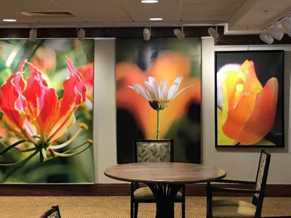 Art gallery with paintings of flowers.