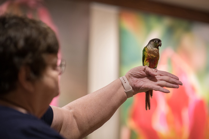 woman with a parrot