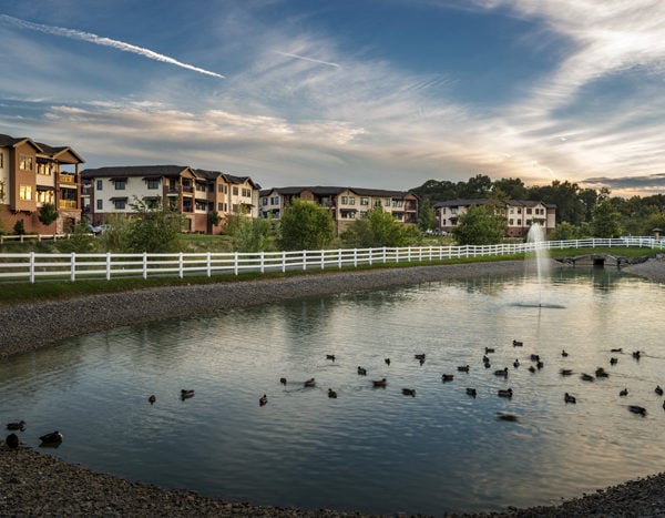 Pool with ducks