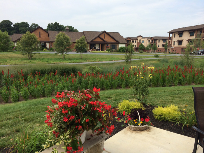Landscaping by buildings