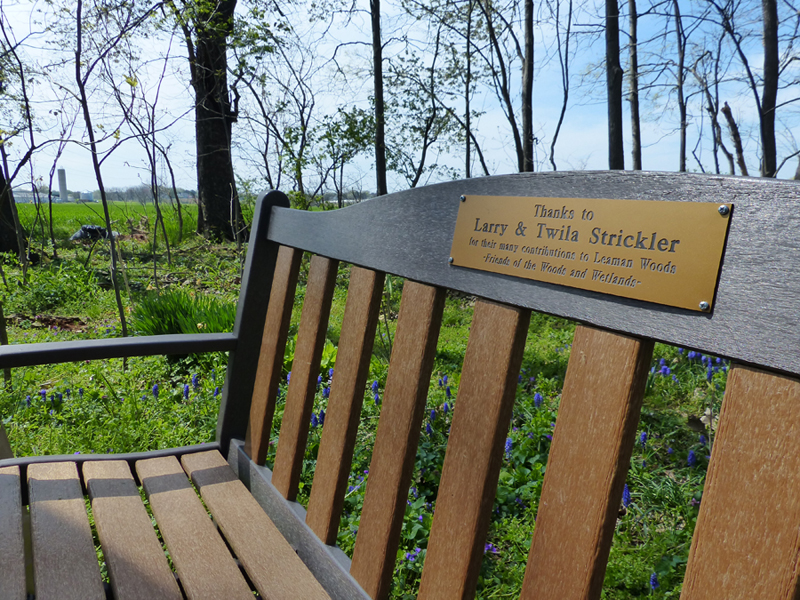 Strickler bench