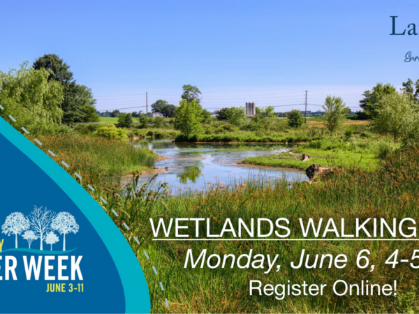 Wetlands Walking Tour invite