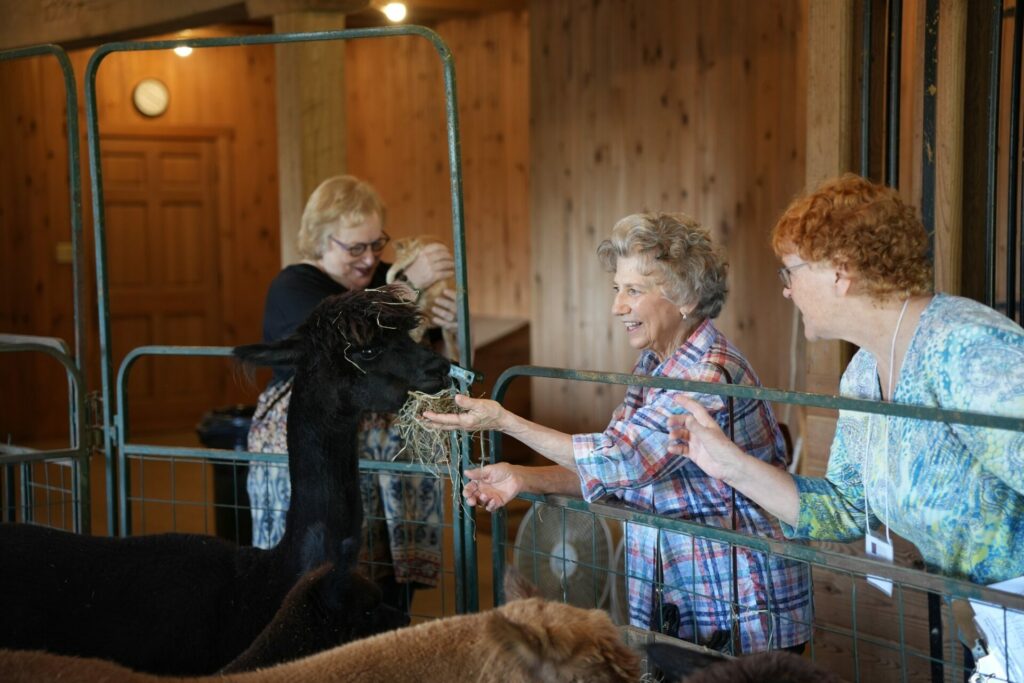 Residents at a petting zoo.