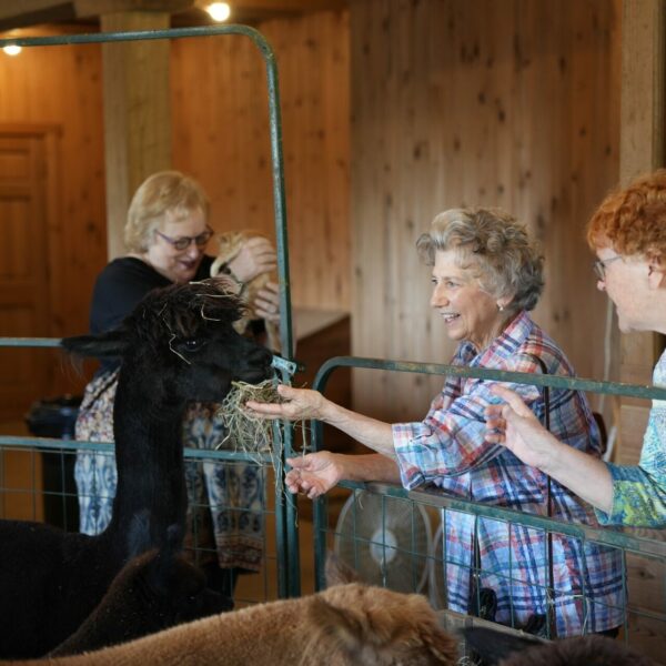 Residents at a petting zoo.